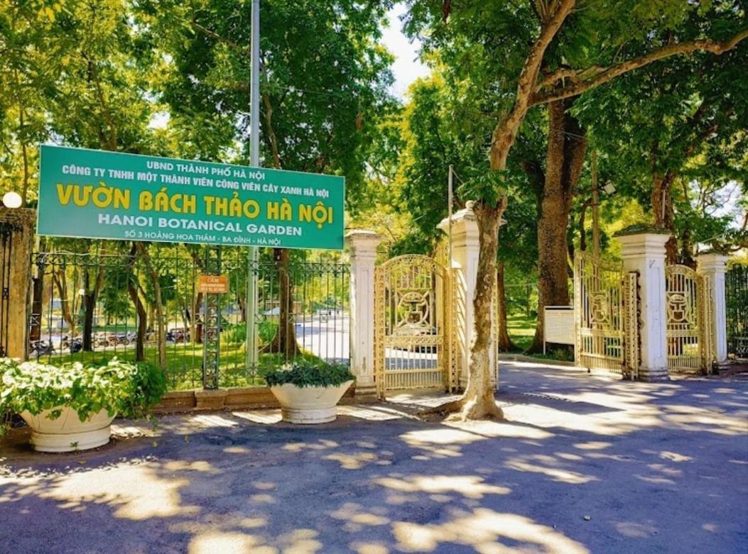Da Tree Homestay Hanoi Zewnętrze zdjęcie